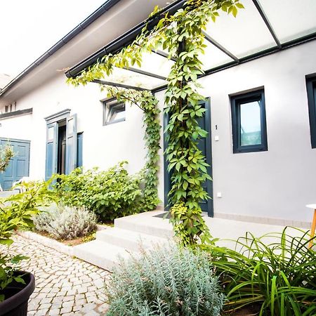 Apartmani Sterija Novi Sad Ngoại thất bức ảnh